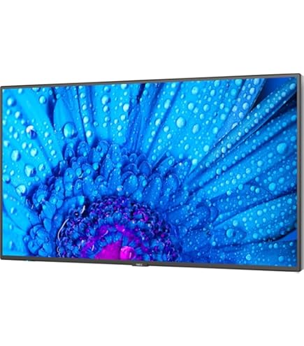 Amazon.com: NEC MultiSync ME431 LCD 43